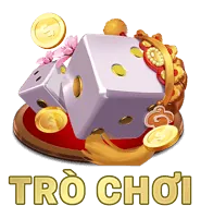 Ảnh đại diện người chơi Thành